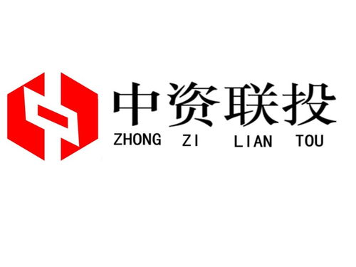 武漢市中資聯(lián)投投資咨詢 專(zhuān)業(yè)投資智慧引領(lǐng)區(qū)域發(fā)展新動(dòng)能